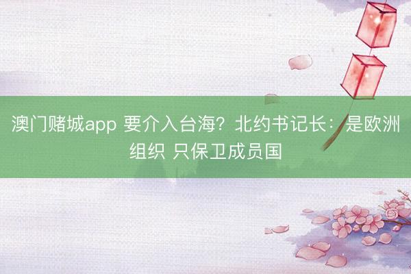 澳门赌城app 要介入台海？北约书记长：是欧洲组织 只保卫成员国