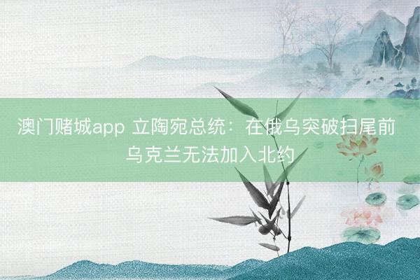 澳门赌城app 立陶宛总统：在俄乌突破扫尾前 乌克兰无法加入北约