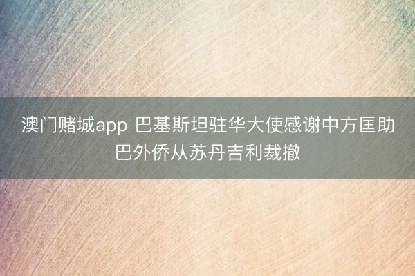 澳门赌城app 巴基斯坦驻华大使感谢中方匡助巴外侨从苏丹吉利裁撤