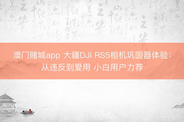 澳门赌城app 大疆DJI RS5相机巩固器体验：从违反到爱用 小白用户力荐