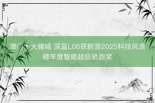 澳门十大赌城 深蓝L06获新浪2025科技风浪榜年度智能越级轿跑奖