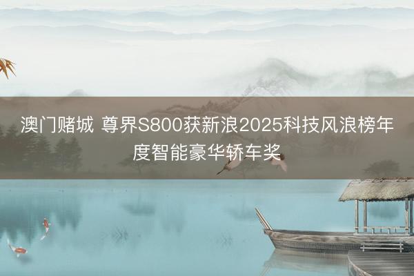 澳门赌城 尊界S800获新浪2025科技风浪榜年度智能豪华轿车奖