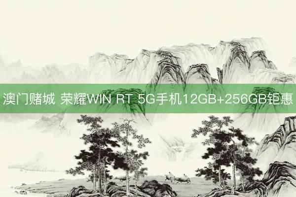 澳门赌城 荣耀WIN RT 5G手机12GB+256GB钜惠