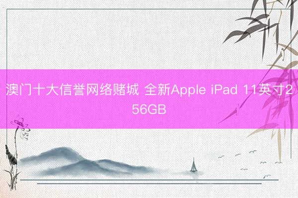 澳门十大信誉网络赌城 全新Apple iPad 11英寸256GB