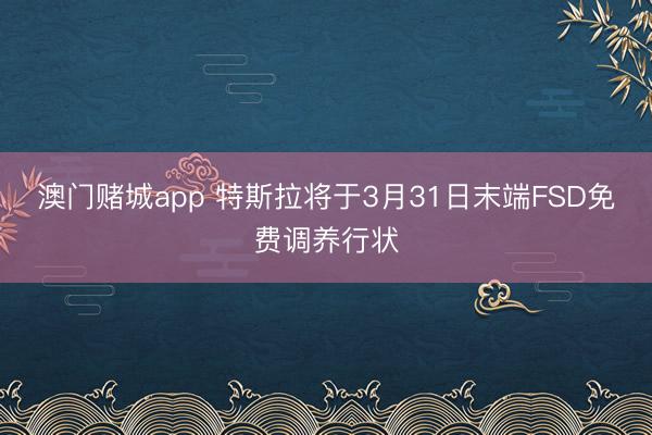 澳门赌城app 特斯拉将于3月31日末端FSD免费调养行状