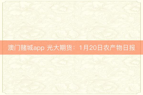 澳门赌城app 光大期货：1月20日农产物日报