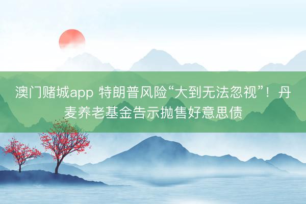 澳门赌城app 特朗普风险“大到无法忽视”!丹麦养老基金告示抛售好意思债
