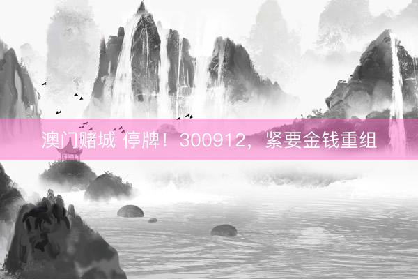 澳门赌城 停牌！300912，紧要金钱重组