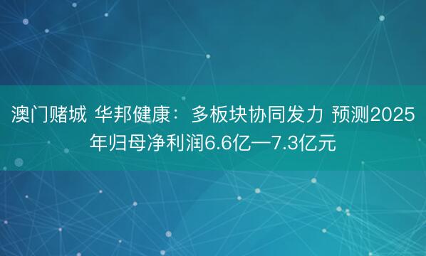 澳门赌城 华邦健康：多板块协同发力 预测2025年归母净利润6.6亿—7.3亿元