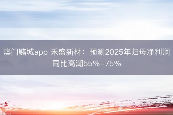 澳门赌城app 禾盛新材：预测2025年归母净利润同比高潮55%-75%
