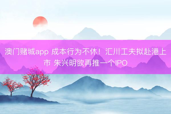 澳门赌城app 成本行为不休！汇川工夫拟赴港上市 朱兴明欲再推一个IPO