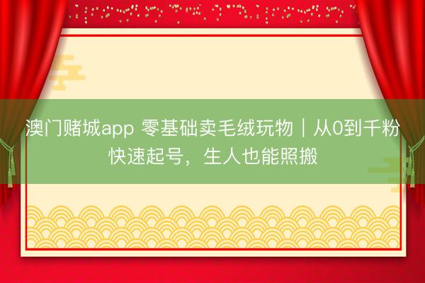澳门赌城app 零基础卖毛绒玩物|从0到千粉快速起号,生人也能照搬