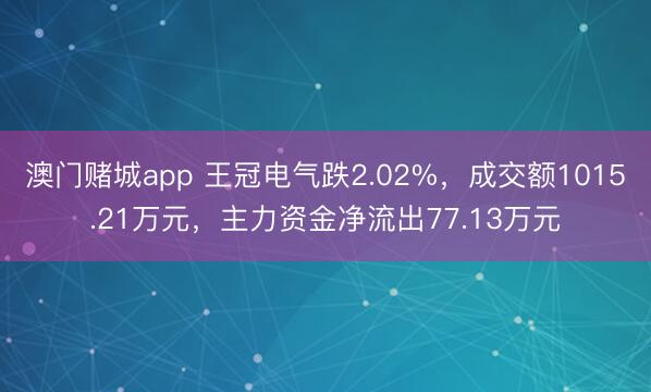 澳门赌城app 王冠电气跌2.02%,成交额1015.21万元,主力资金净流出77.13万元