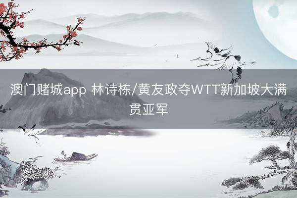 澳门赌城app 林诗栋/黄友政夺WTT新加坡大满贯亚军
