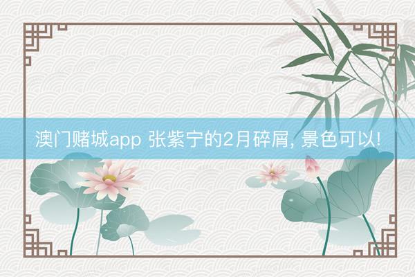 澳门赌城app 张紫宁的2月碎屑, 景色可以!