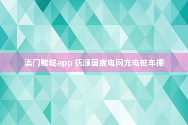 澳门赌城app 抚顺国度电网充电桩车棚
