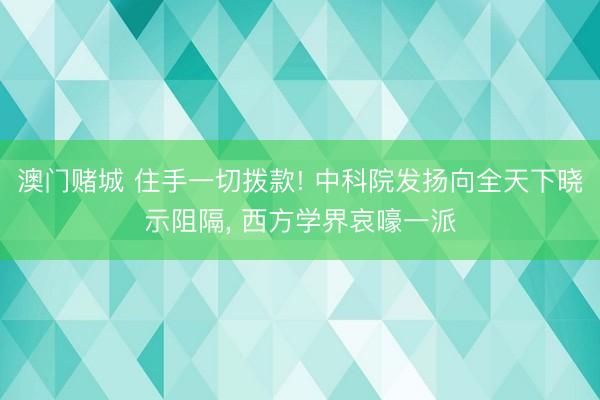 澳门赌城 住手一切拨款! 中科院发扬向全天下晓示阻隔, 西方学界哀嚎一派