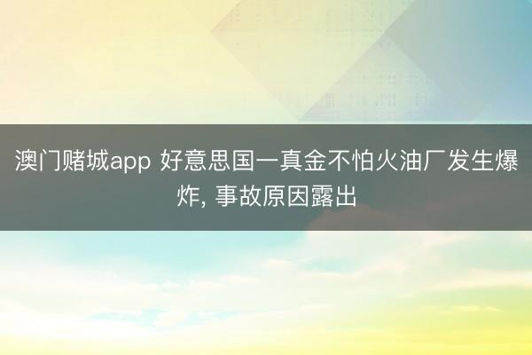 澳门赌城app 好意思国一真金不怕火油厂发生爆炸, 事故原因露出