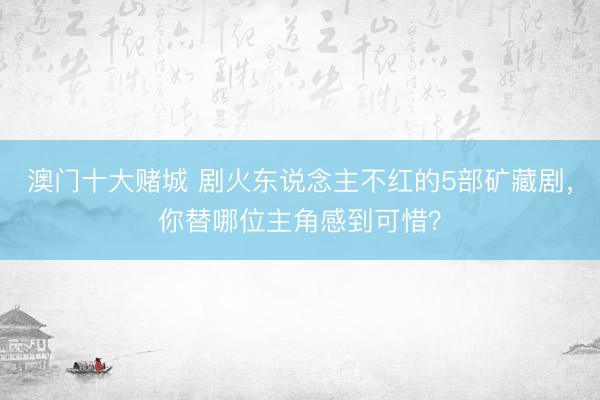 澳门十大赌城 剧火东说念主不红的5部矿藏剧，你替哪位主角感到可惜？