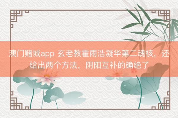 澳门赌城app 玄老教霍雨浩凝华第二魂核，还给出两个方法，阴阳互补的确绝了