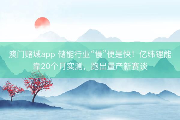 澳门赌城app 储能行业“慢”便是快！亿纬锂能靠20个月实测，跑出量产新赛谈