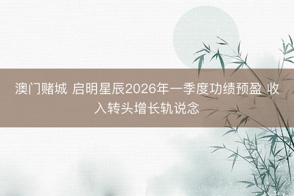 澳门赌城 启明星辰2026年一季度功绩预盈 收入转头增长轨说念
