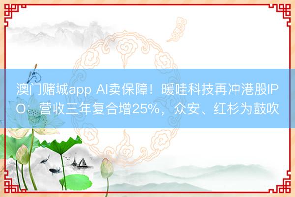 澳门赌城app AI卖保障!暖哇科技再冲港股IPO:营收三年复合增25%,众安、红杉为鼓吹