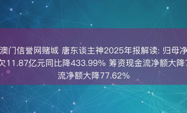 澳门信誉网赌城 唐东谈主神2025年报解读: 归母净利润亏欠11.87亿元同比降433.99% 筹资现金流净额大降77.62%