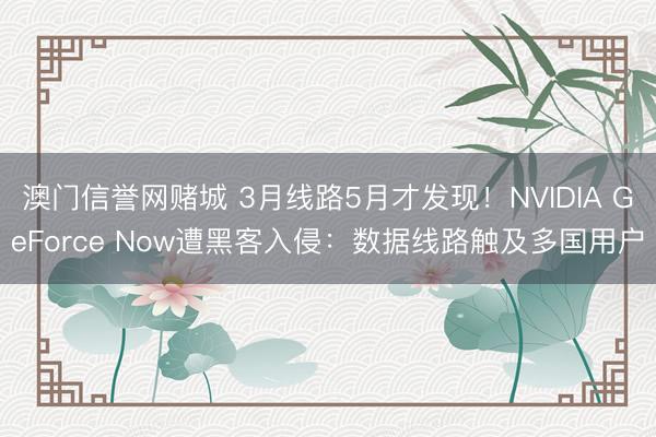 澳门信誉网赌城 3月线路5月才发现！NVIDIA GeForce Now遭黑客入侵：数据线路触及多国用户