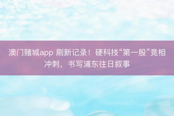 澳门赌城app 刷新记录！硬科技“第一股”竞相冲刺，书写浦东往日叙事